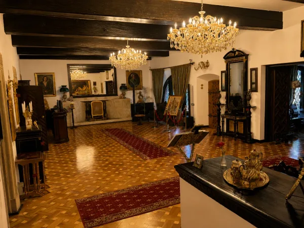 Detaliu de artă și arhitectură din Vila Tătărescu (4)