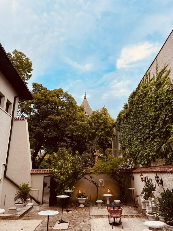 Exteriorul Vilei Tătărescu, Strada Polonă 19 (3)