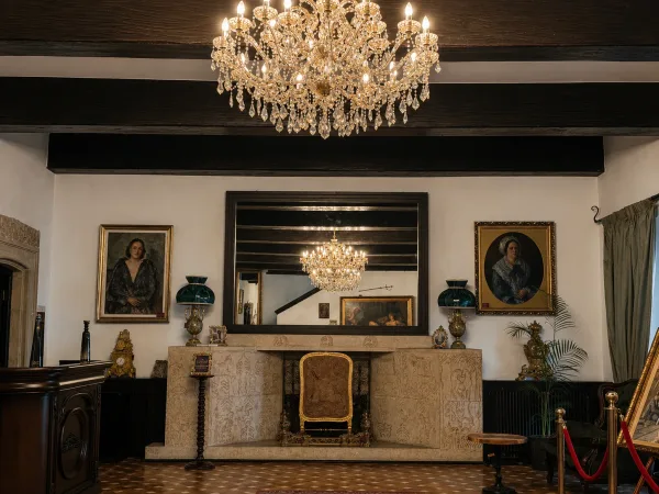 Interior din Vila Tătărescu, Strada Polonă 19 (48)