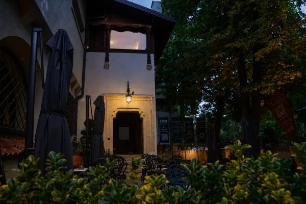 Interior din Vila Tătărescu, Strada Polonă 19 (37)