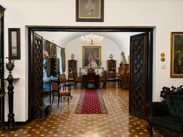 Interior din Vila Tătărescu, Strada Polonă 19 (41)